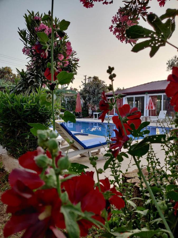 אולודניץ Cc'S Butik Hotel מראה חיצוני תמונה