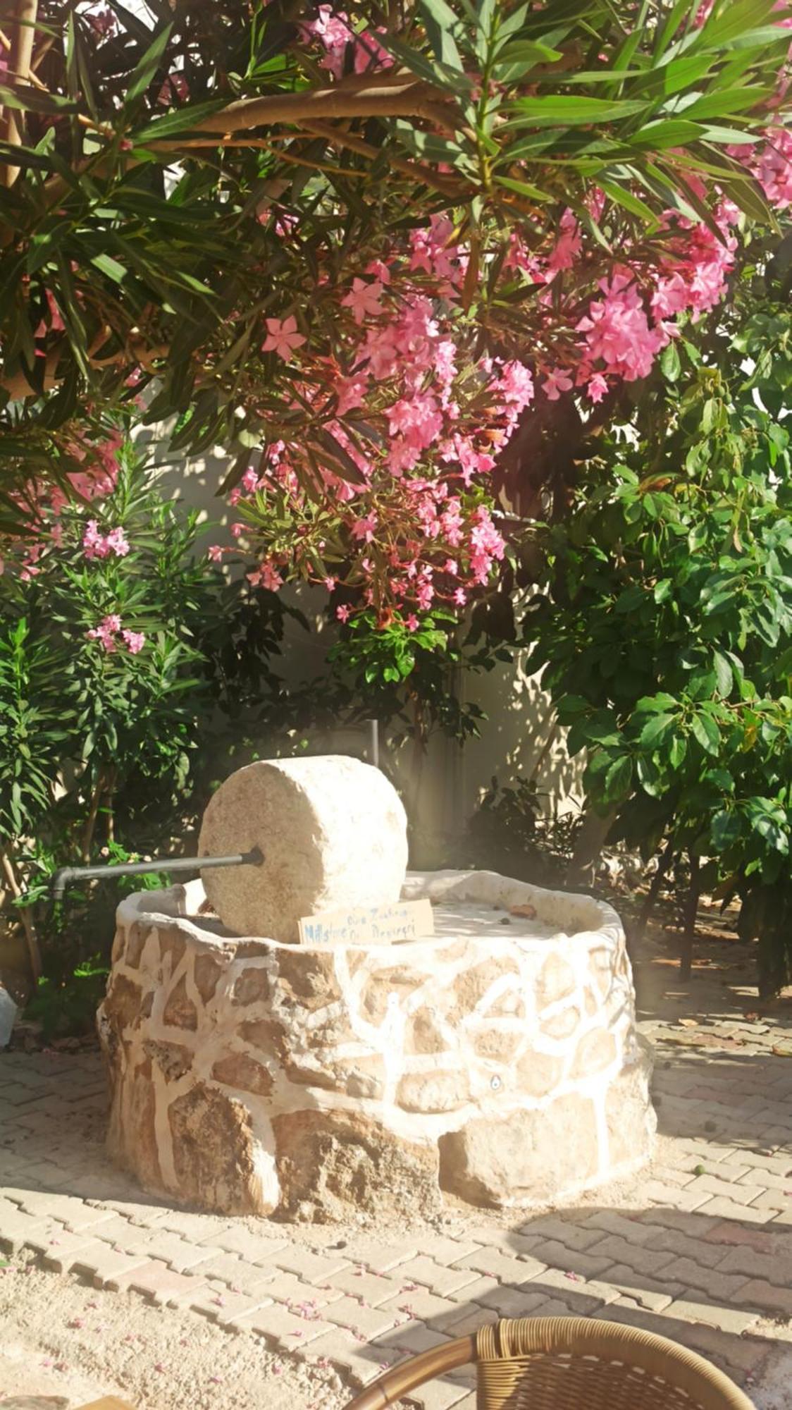 אולודניץ Cc'S Butik Hotel מראה חיצוני תמונה